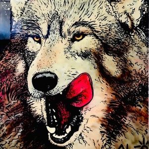 Meet your Posher, Ken